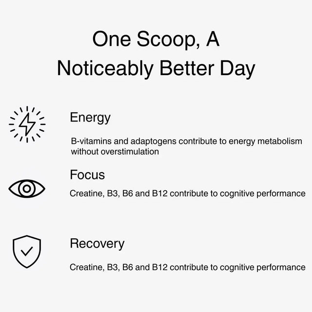 Second Self Eton Mess Longevity Edition Second Self